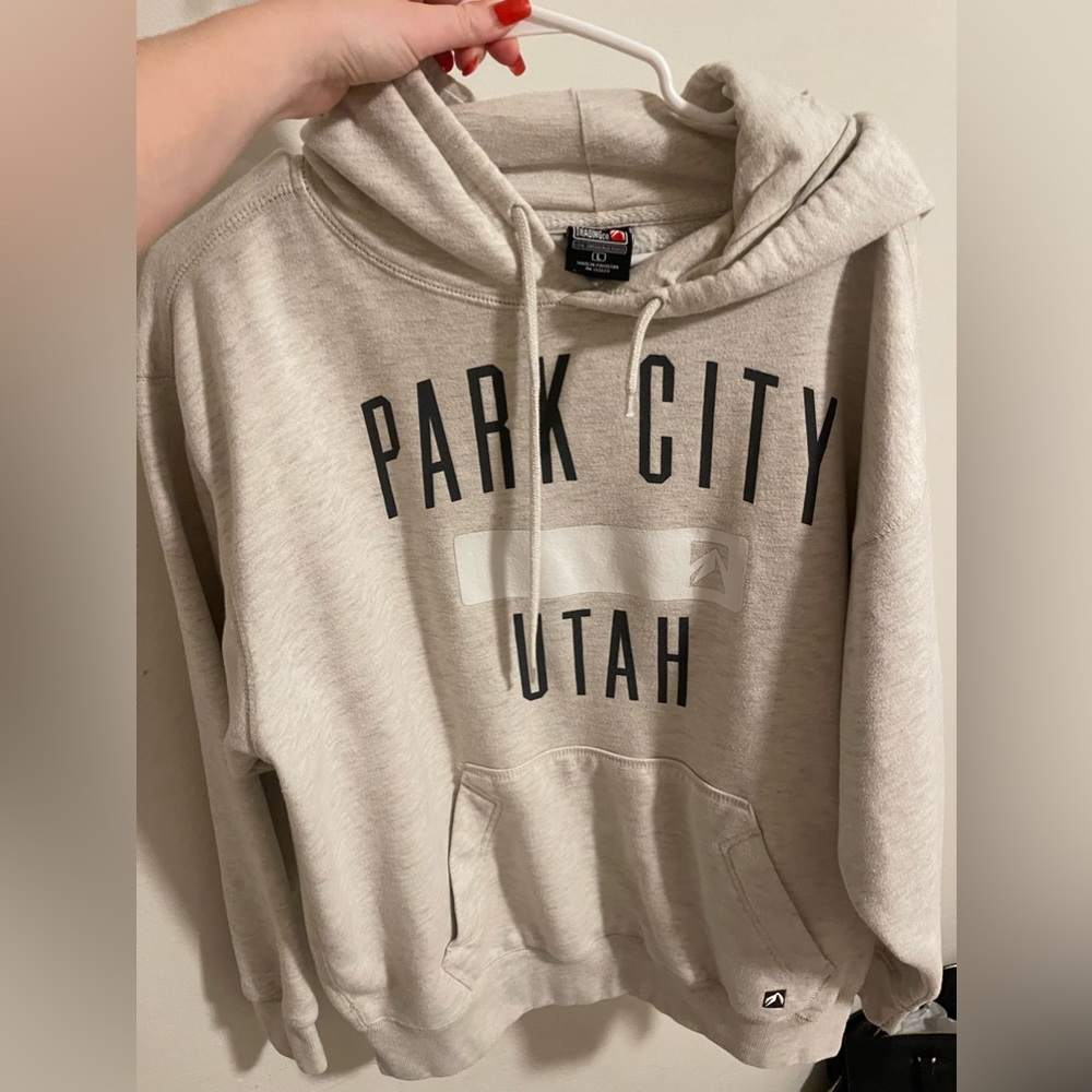 Never worn park city oversized hoodie